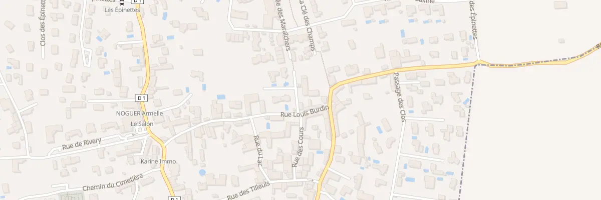 Plan du 17T Rue Louis Burdin à Sathonay-Village