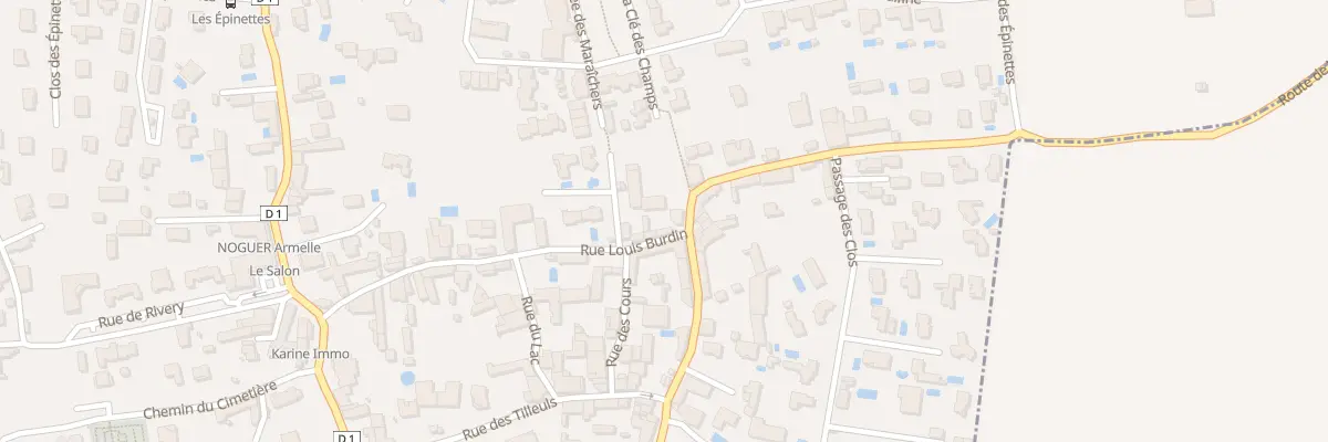 Plan du 21 Rue Louis Burdin à Sathonay-Village