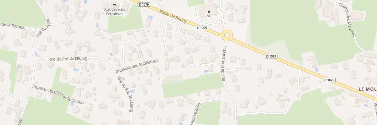 Plan du 52B Rue de Romaneche à Replonges