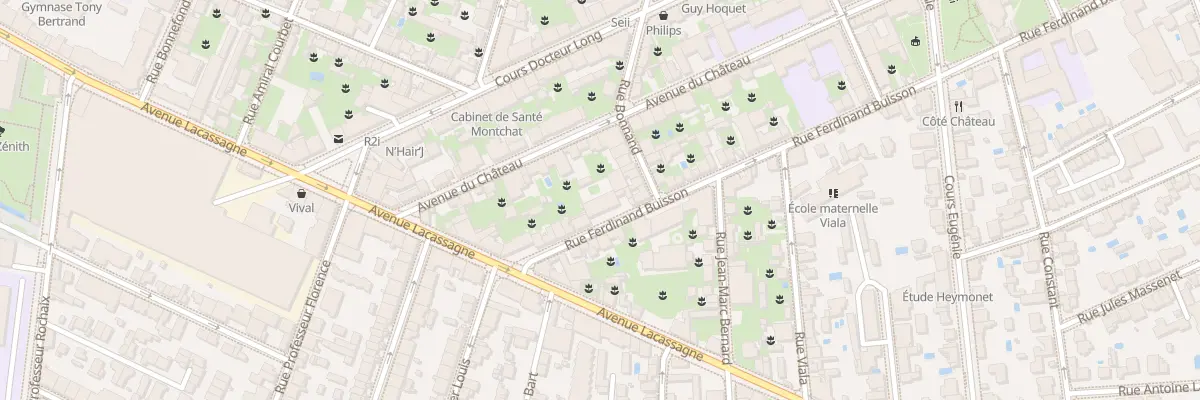 Plan du 13 Rue Ferdinand Buisson à Lyon 3e Arrondissement
