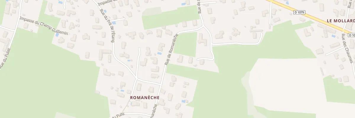 Plan du 293 Rue de Romaneche à Replonges