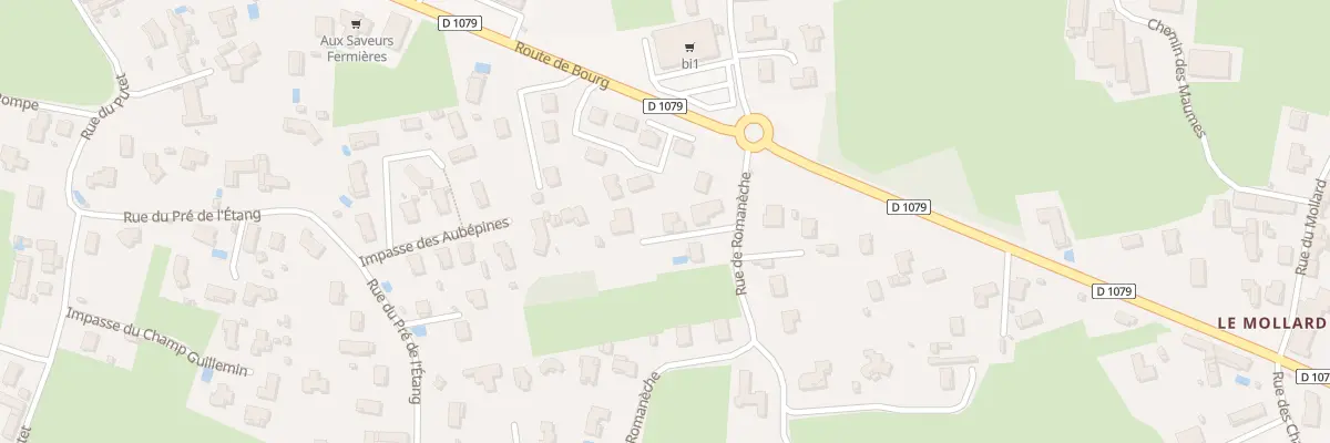 Plan du 52 Rue de Romaneche à Replonges