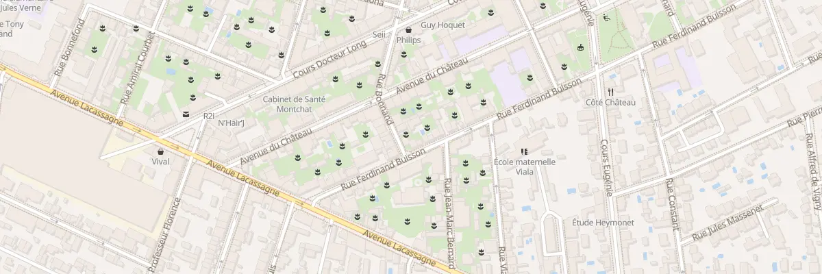 Plan du 21 Rue Ferdinand Buisson à Lyon 3e Arrondissement