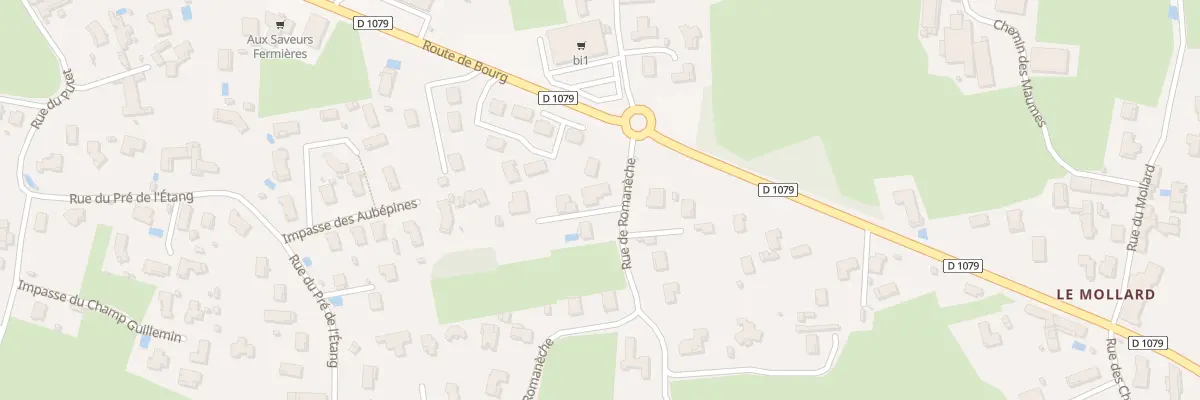 Plan du 48 Rue de Romaneche à Replonges