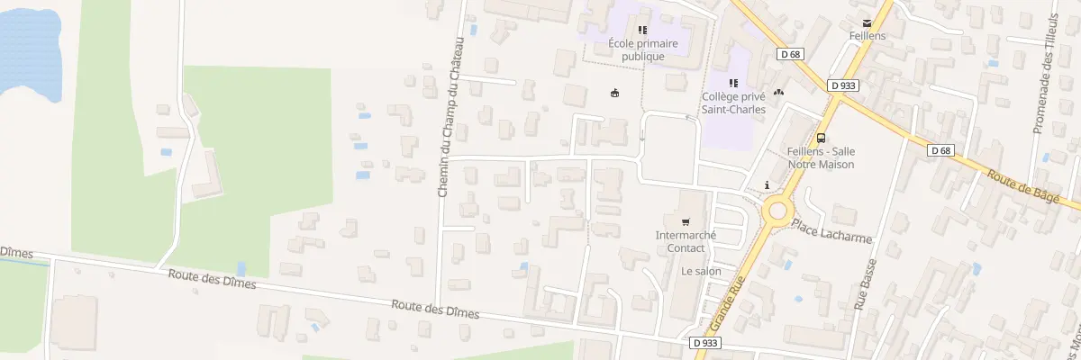Plan du 195 Rue de Bad Waldsee à Feillens