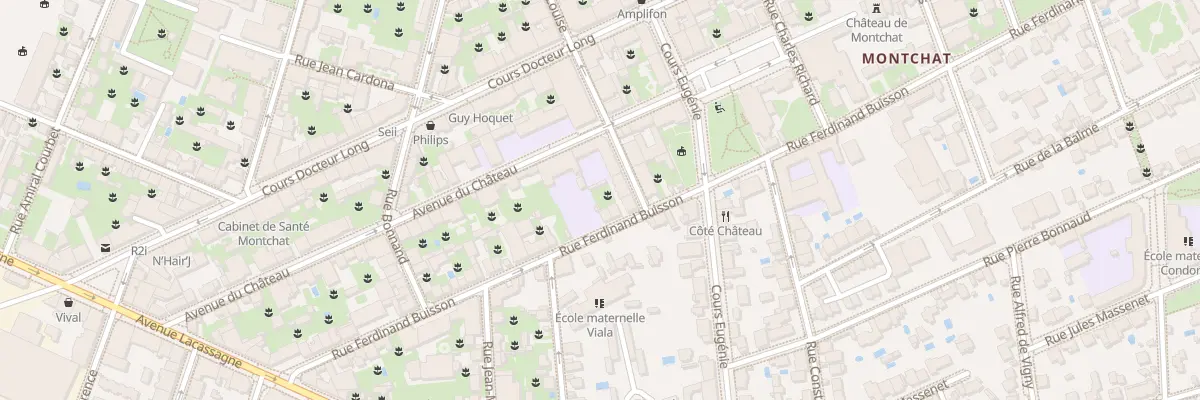 Plan du 45 Rue Ferdinand Buisson à Lyon 3e Arrondissement