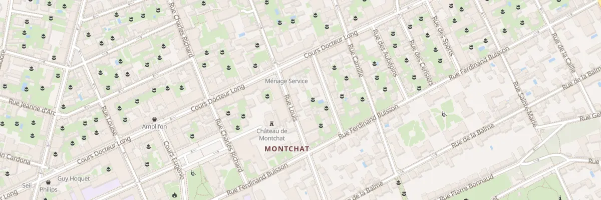 Plan du 45 Rue Louis à Lyon 3e Arrondissement