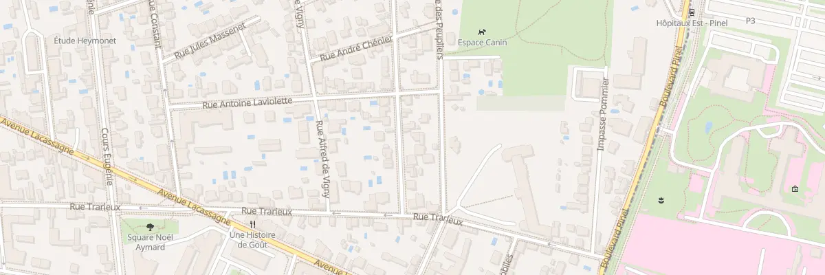 Plan du 31 Rue Alfred de Musset à Lyon 3e Arrondissement