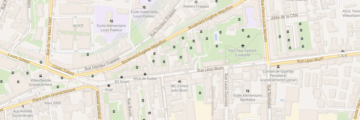 Plan du 33 Rue Léon Blum à Villeurbanne