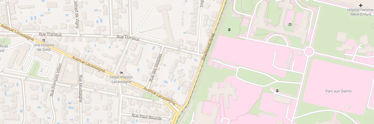 Plan du 74 Bd Pinel à Lyon 3e Arrondissement