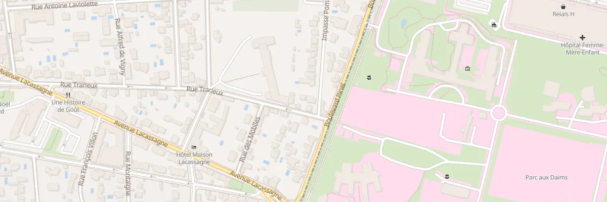 Plan du 133 Rue Trarieux à Lyon 3e Arrondissement