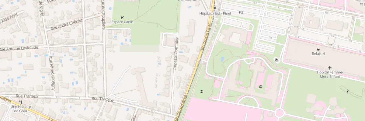 Plan du 60 Bd Pinel à Lyon 3e Arrondissement