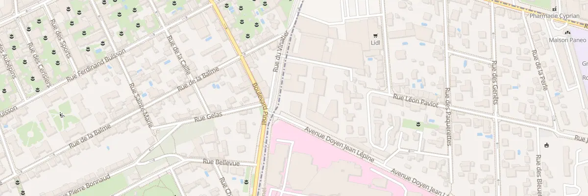 Plan du 19 Rue du Vinatier à Bron