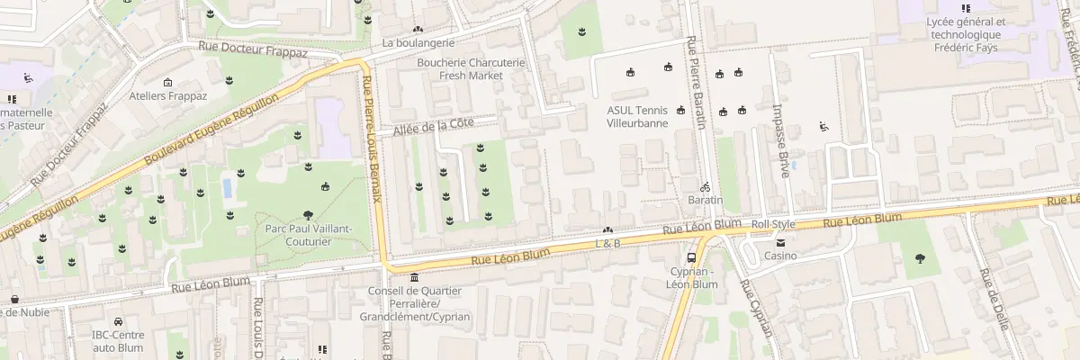 Plan du 91B Rue Léon Blum à Villeurbanne