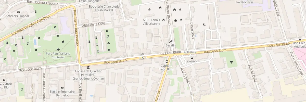 Plan du 101 Rue Léon Blum à Villeurbanne