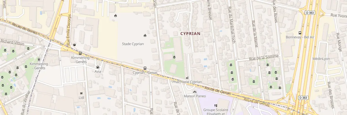 Plan du 243 Rte de Genas à Villeurbanne