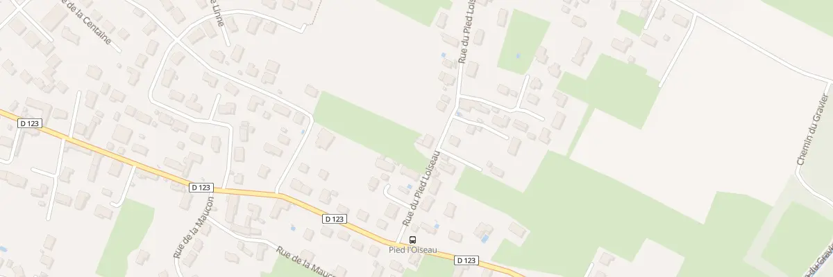 Plan du 7 Rue du Pied Loiseau à Saint-Marcel
