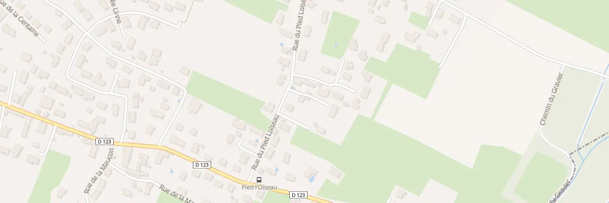 Plan du 12 Rue du Pied Loiseau à Saint-Marcel