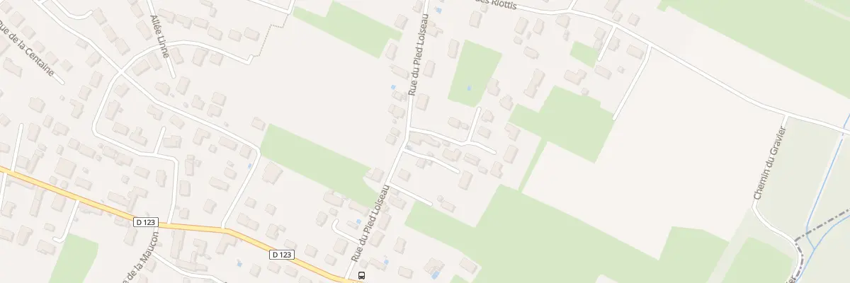 Plan du 14 Rue du Pied Loiseau à Saint-Marcel