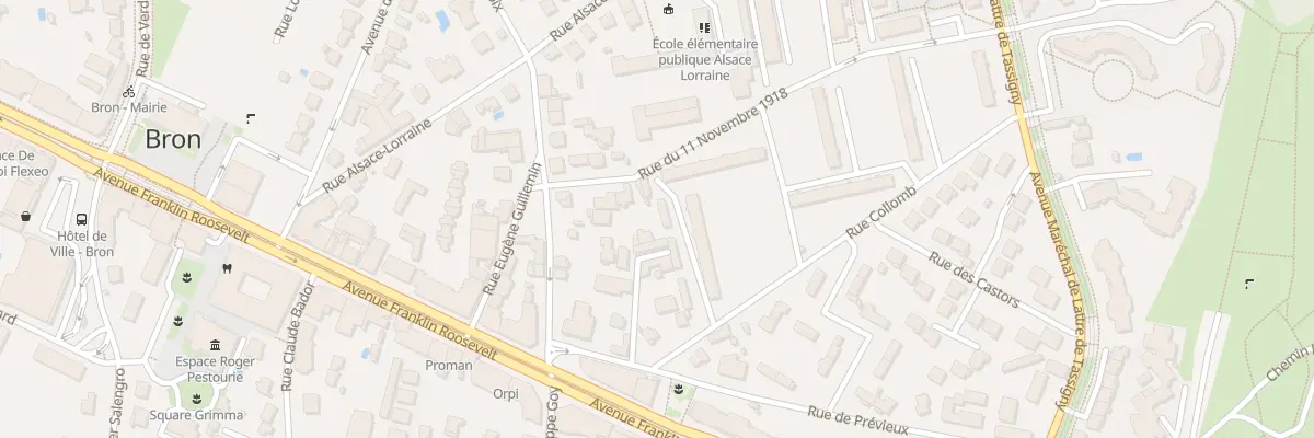 Plan du 12 Rue du Onze Novembre à Bron