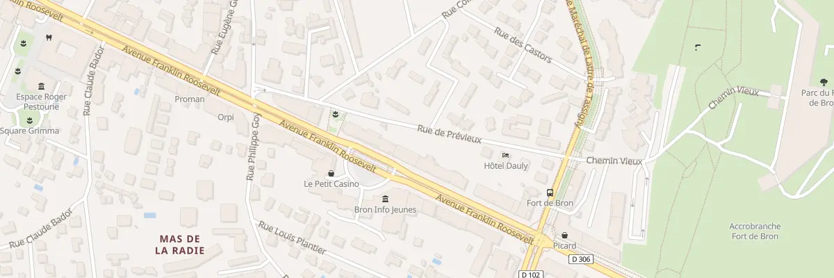 Plan du 213 Av Franklin Roosevelt à Bron