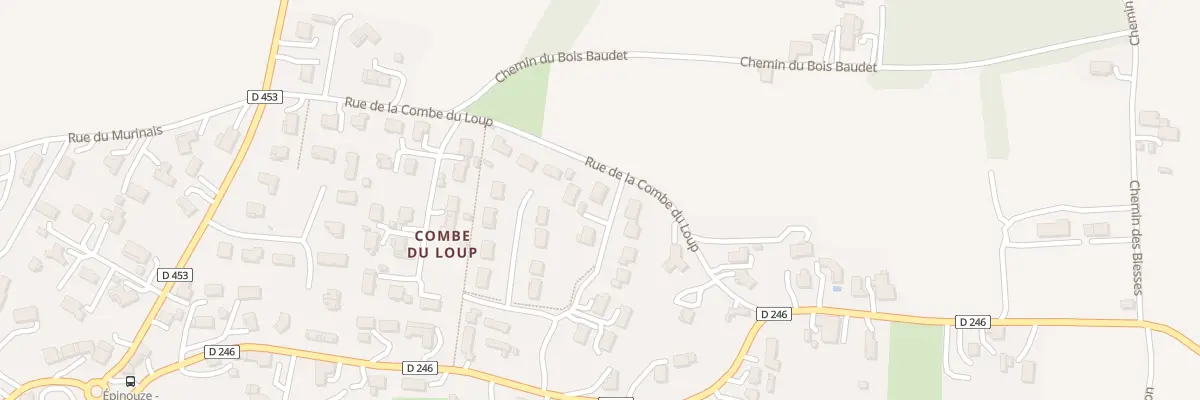 Plan du 185 Rue des Poiriers à Épinouze