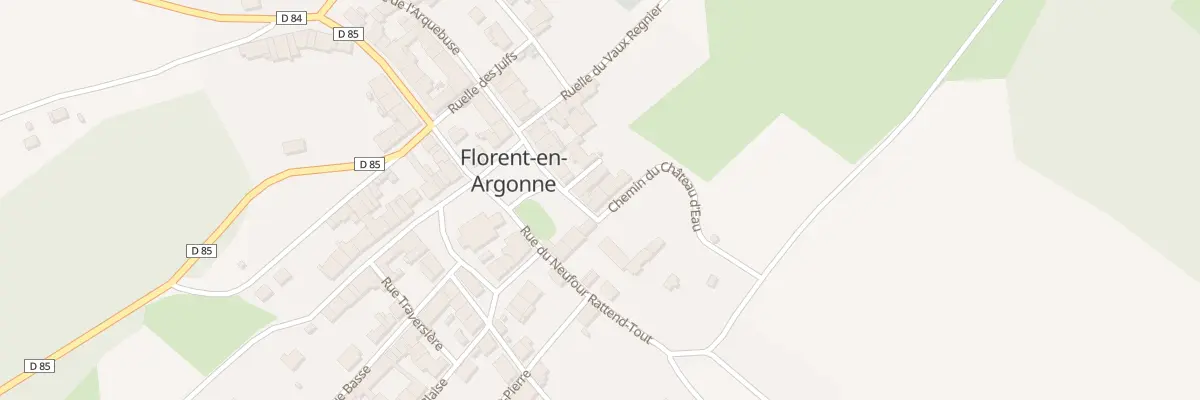 Plan du 5003 Rue de la Cour du Chateau à Florent-en-Argonne