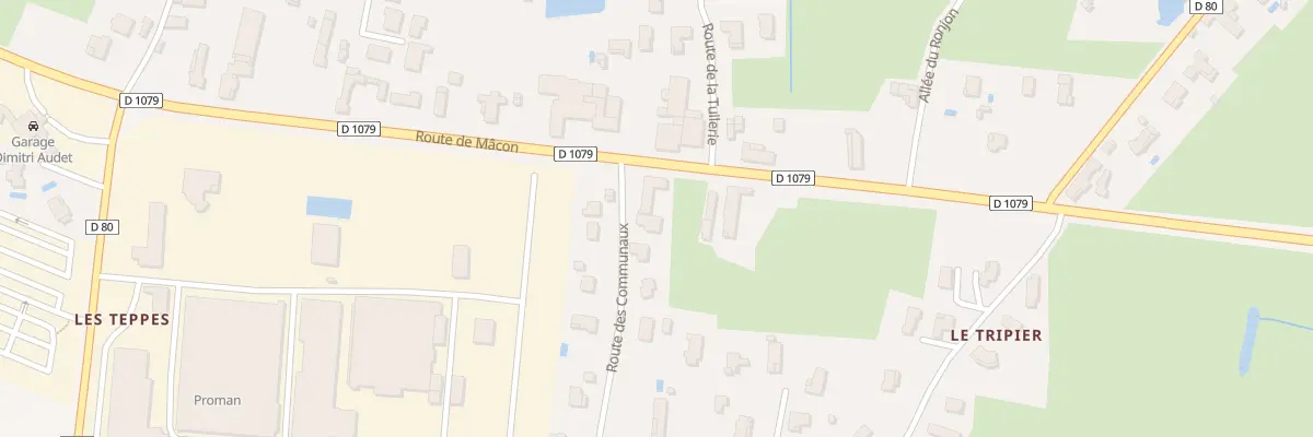 Plan du 49 Rte des Communaux à Saint-Cyr-sur-Menthon