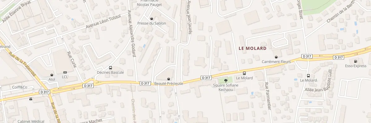 Plan du 259 Av Jean Jaurès à Décines-Charpieu