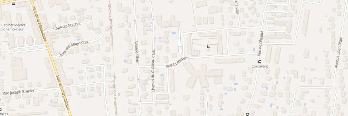 Plan du 29 Rue de Cornavent à Décines-Charpieu