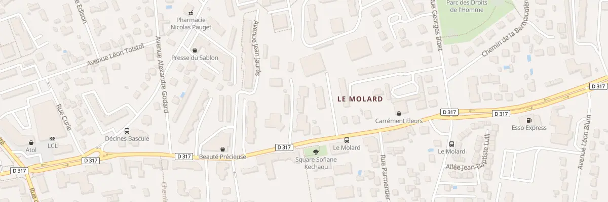 Plan du 273 Av Jean Jaurès à Décines-Charpieu