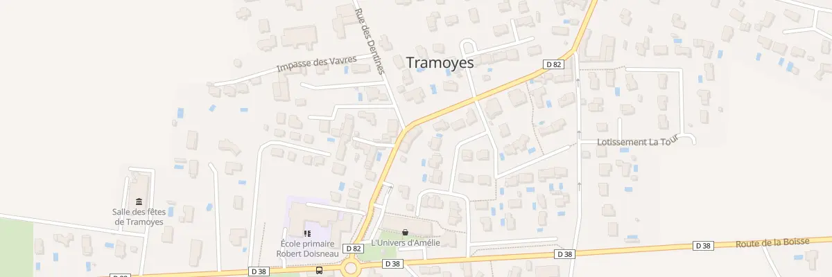 Plan du 150 Rue du Marquis de Sallmard à Tramoyes