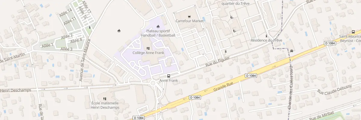 Plan du 85 Rue du Figuier à Miribel