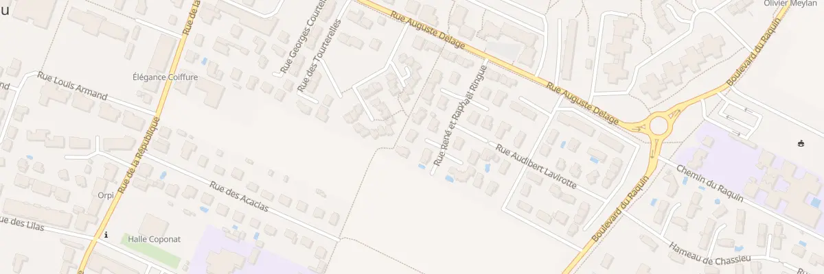Plan du 3 Rue Renee et Raphael Ringue à Chassieu