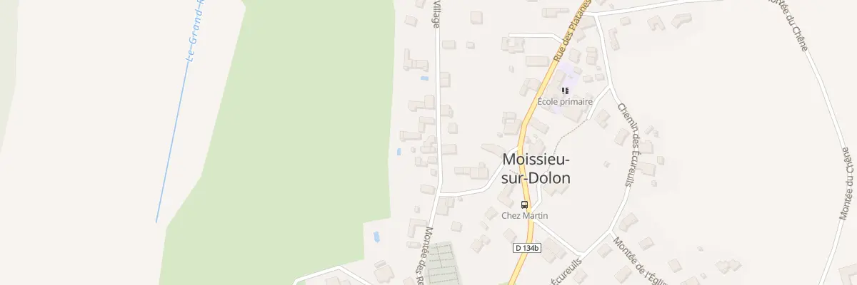 Plan du 169 Mte du Vieux Village à Moissieu-sur-Dolon