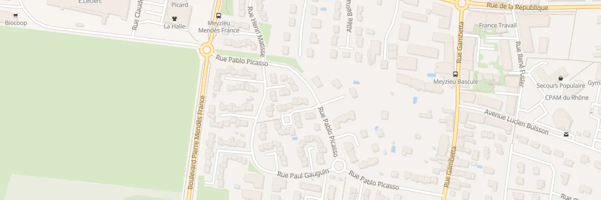 Plan du 51 Rue Pablo Picasso à Meyzieu