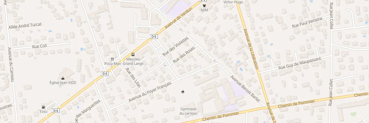 Plan du 6 Rue des Roses à Meyzieu