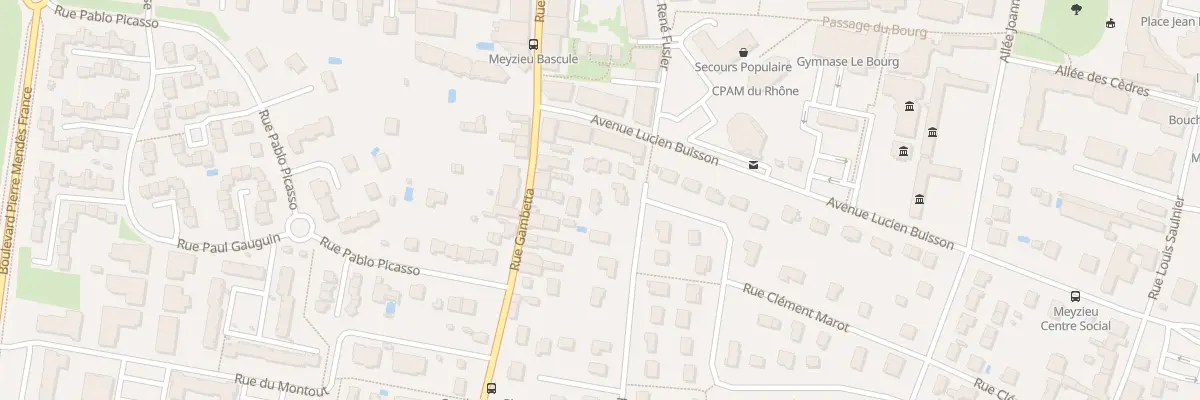 Plan du 4 Rue Ronsard à Meyzieu