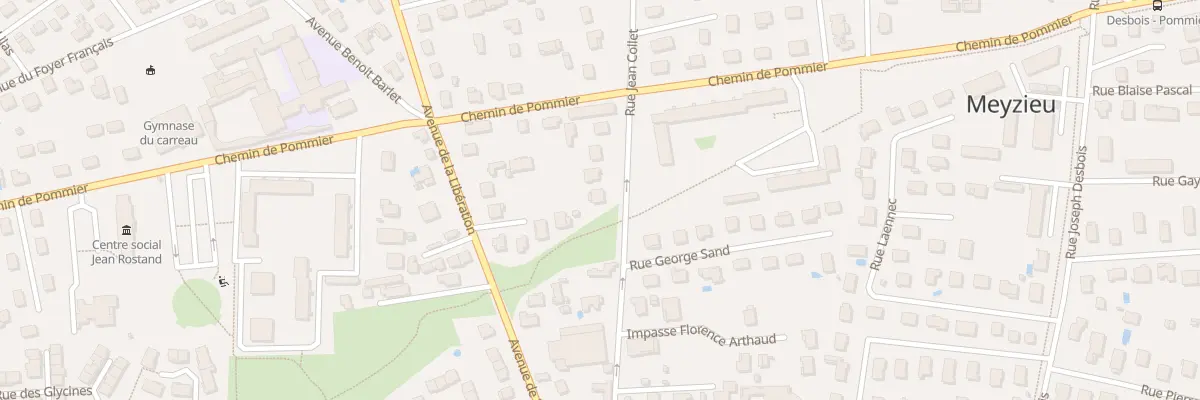 Plan du 19 Rue Jean Collet à Meyzieu