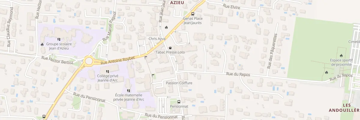 Plan du 17 Rue Jean Jaures à Genas