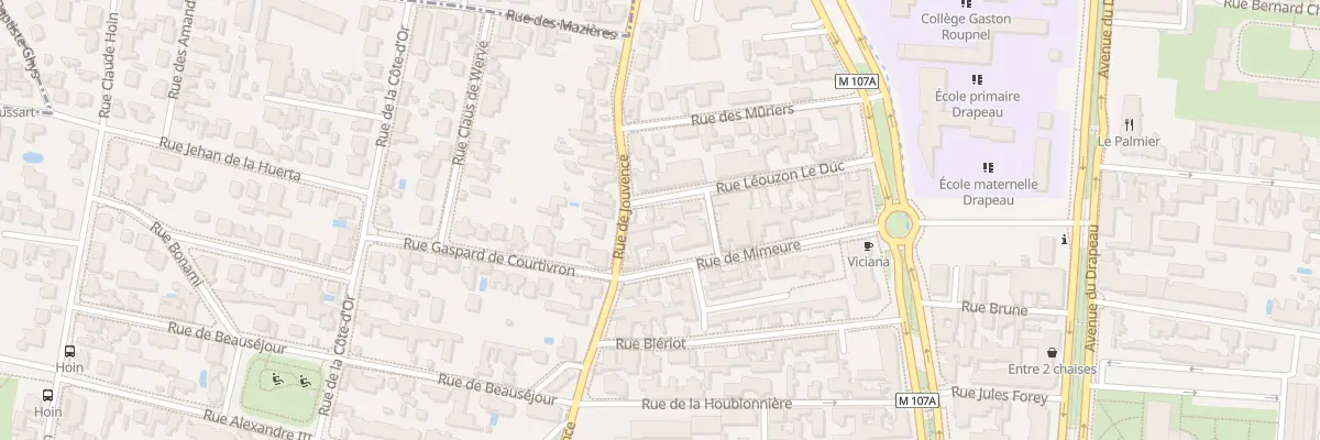 Plan du 21 Rue Leouzon le Duc à Dijon