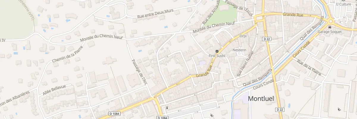 Plan du 55 Rue Puits Pirollet à Montluel