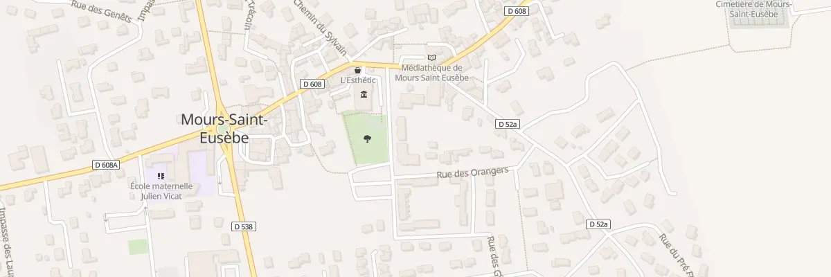 Plan du 38 Rue des Grandes Vignes à Mours-Saint-Eusèbe