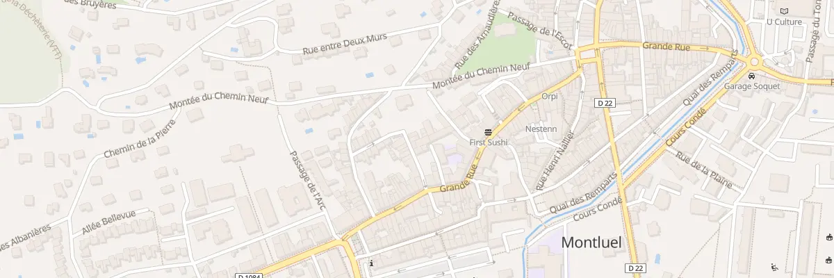 Plan du 62 Rue Puits Pirollet à Montluel