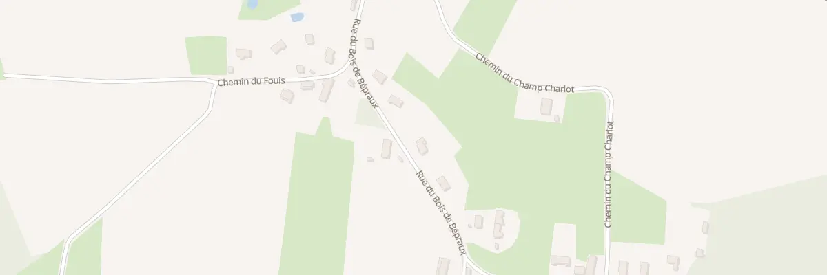 Plan du 19 Rue du Bois de Bépraux à Saint-Martin-en-Bresse