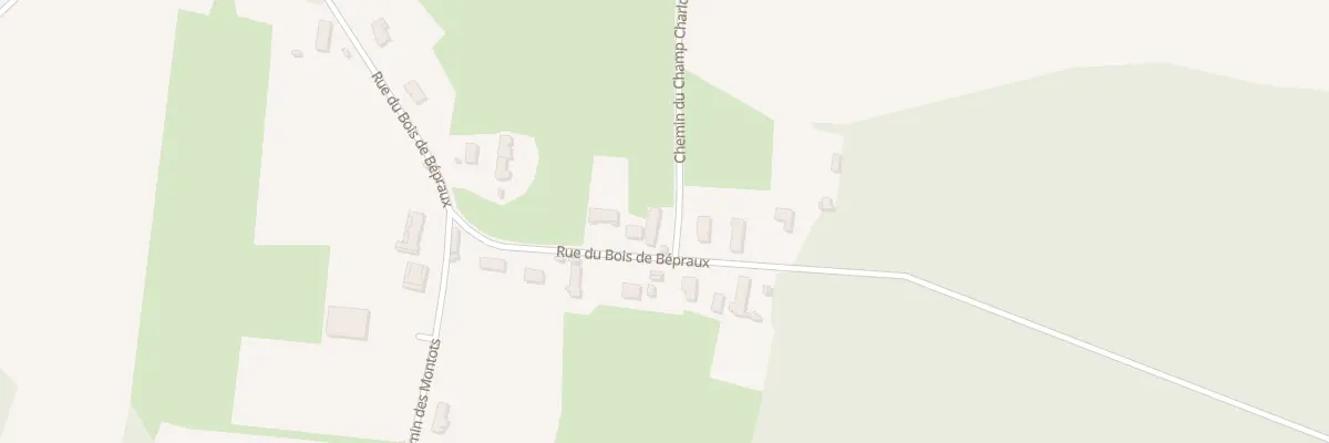 Plan du 35 Rue du Bois de Bépraux à Saint-Martin-en-Bresse