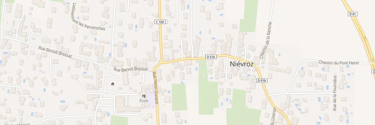 Plan du 50 Rue Henri Jomain à Niévroz