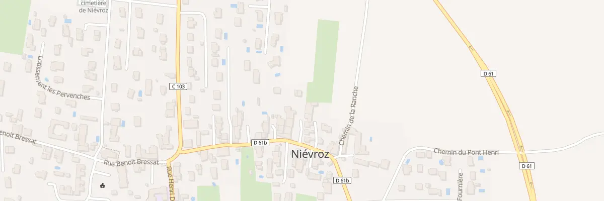 Plan du 195 Rue Henri Jomain à Niévroz