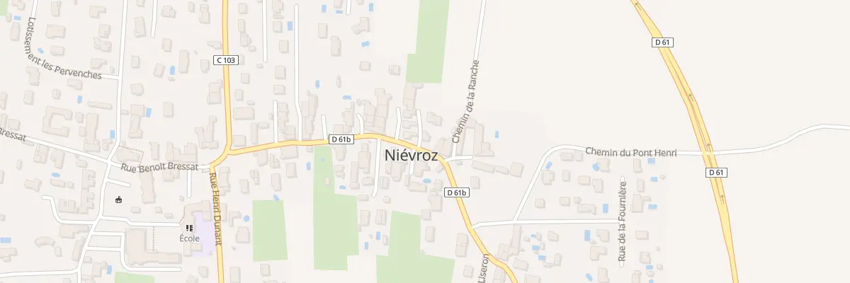 Plan du 223T Rue Henri Jomain à Niévroz