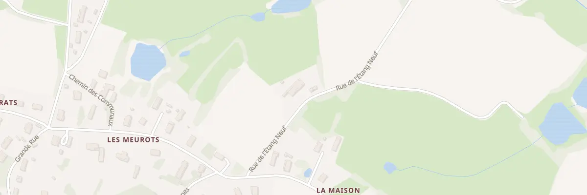 Plan du 1808 Rue de l’Etang Neuf à Saint-Vincent-en-Bresse